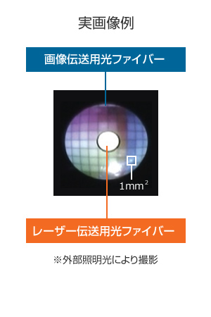 複合型光ファイバー実映像